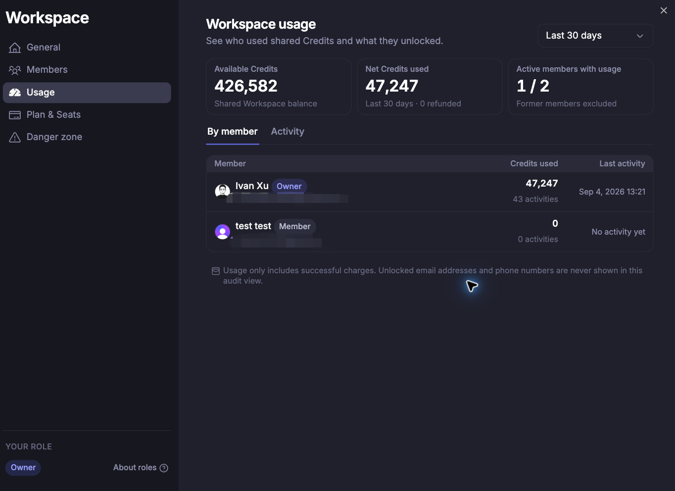 Workspace Usage page showing the shared Credit balance, team usage, and reporting period